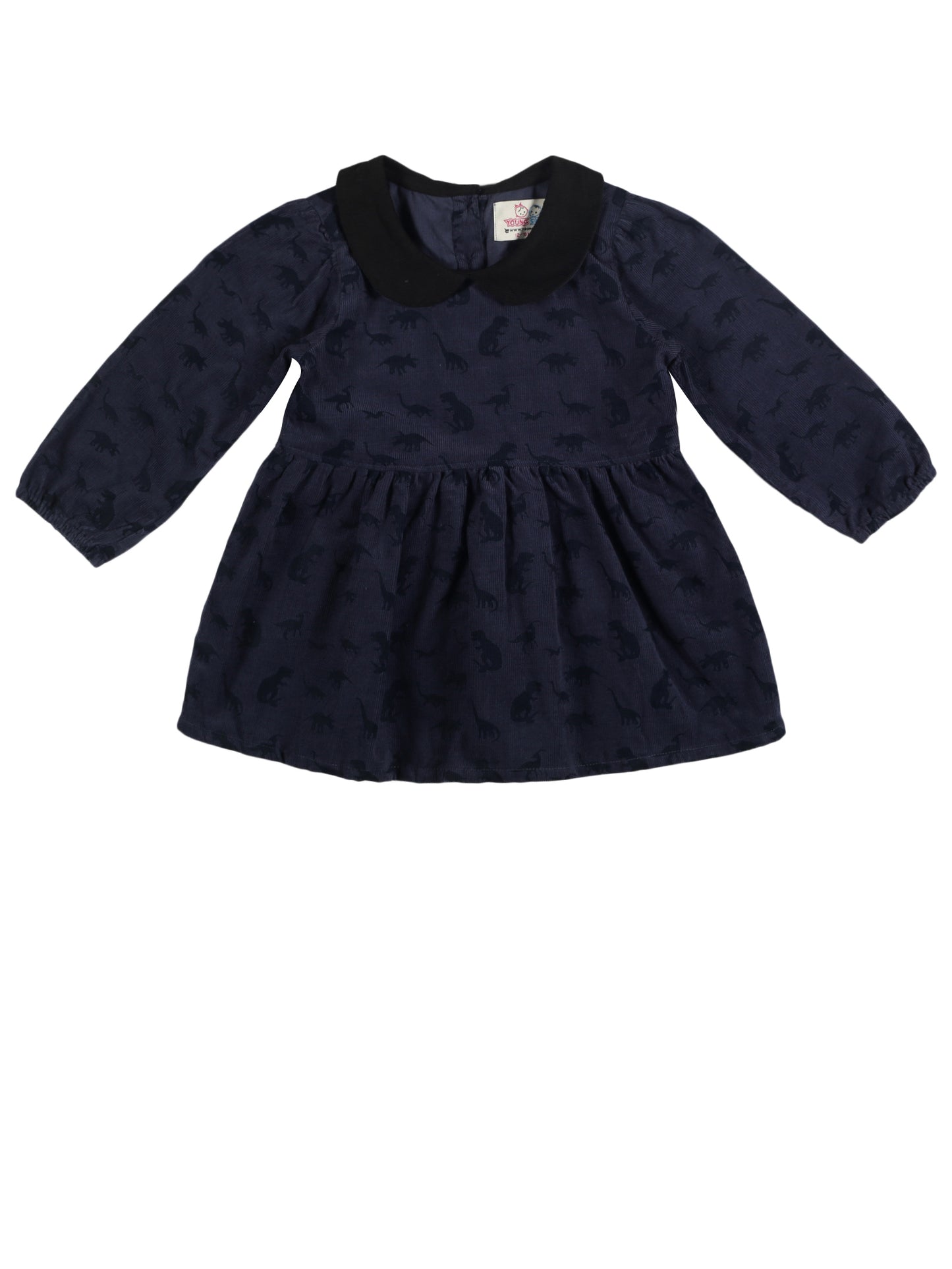 Young Birds Peter pan Long Sleeve Dress