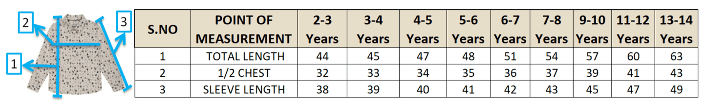 Young Birds Boys Full Sleeve Printed Shirt