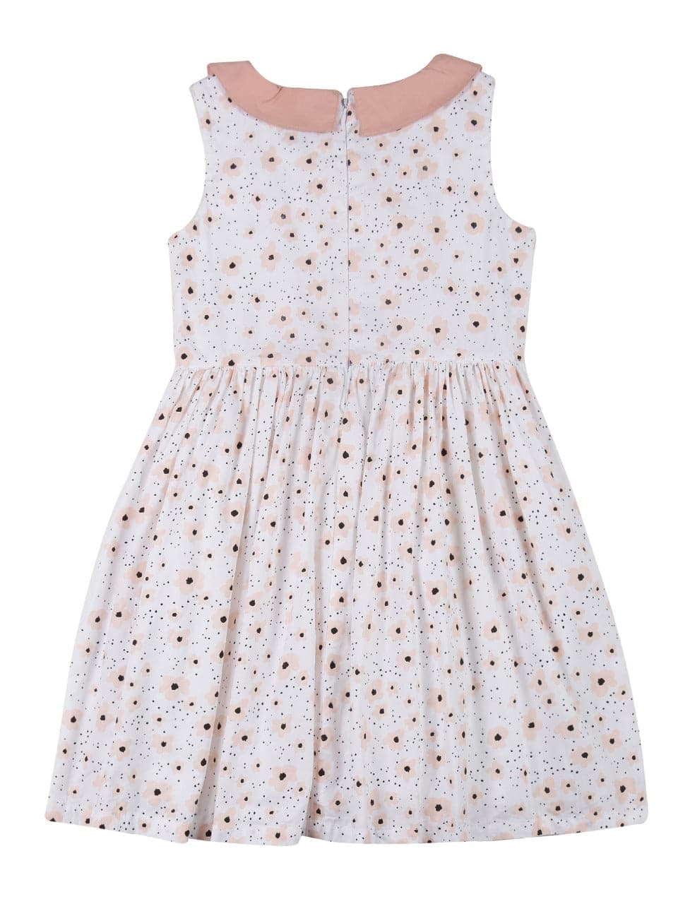 Young Birds Peter Pan Collar Fit & Flare Dress