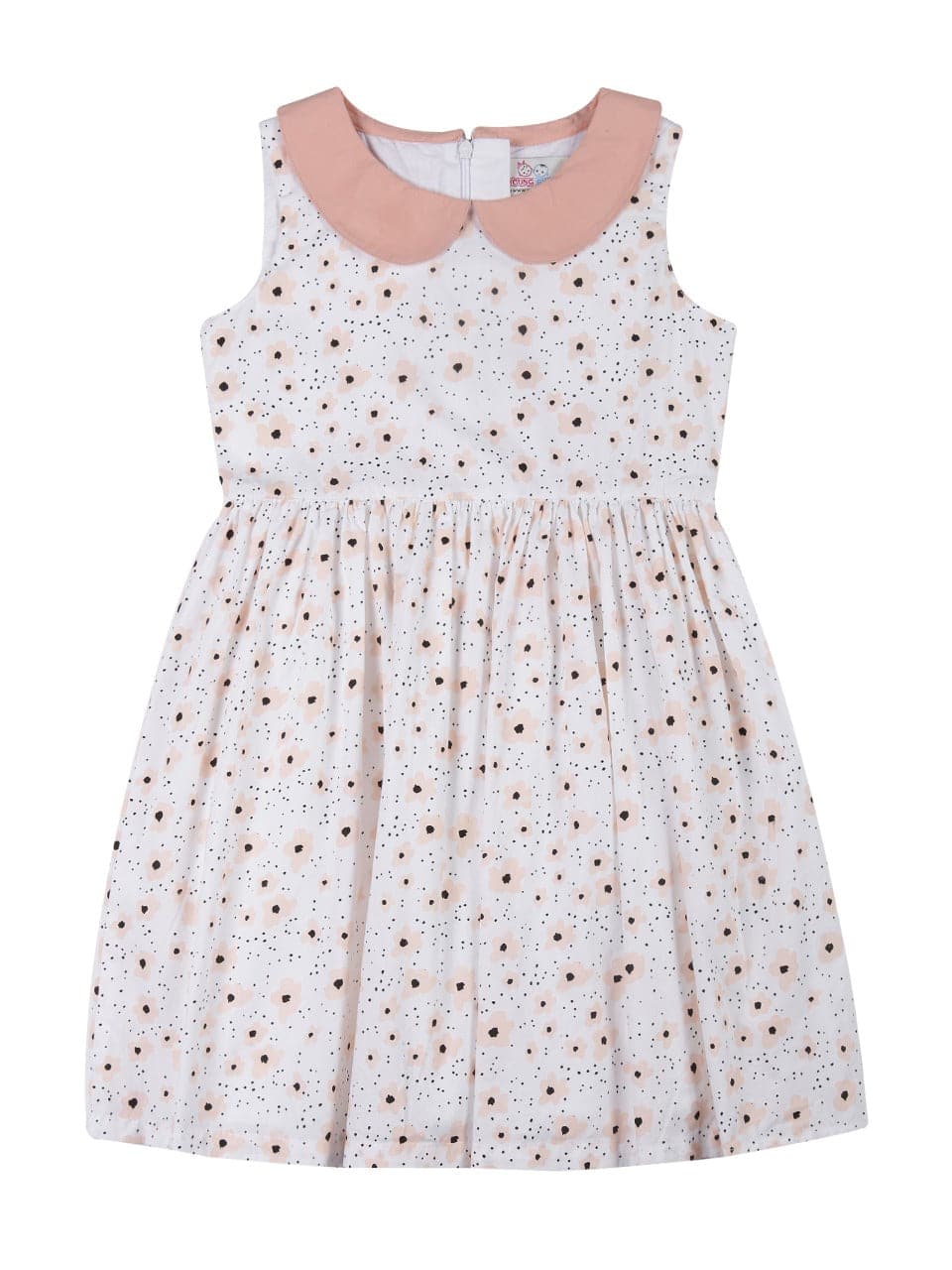 Young Birds Peter Pan Collar Fit & Flare Dress
