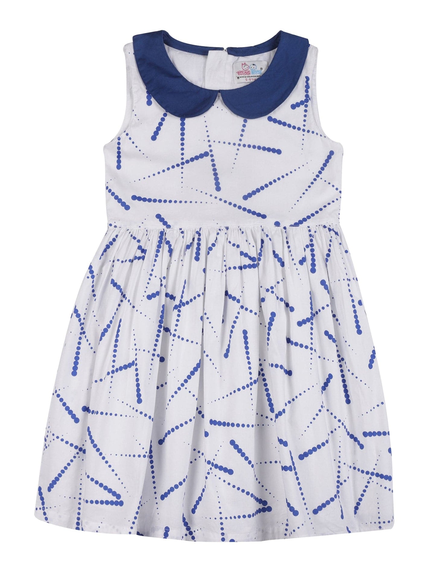 Young Birds Peter Pan Collar Fit & Flare Dress