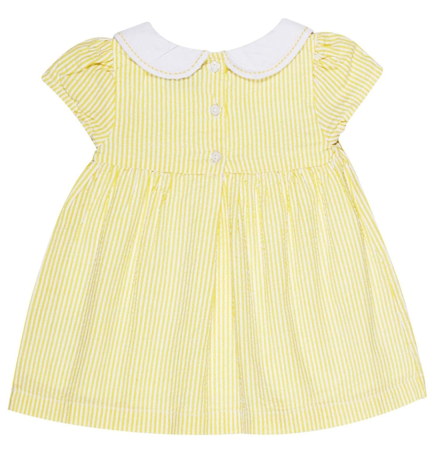 Young Birds Peterpan Collar Dress