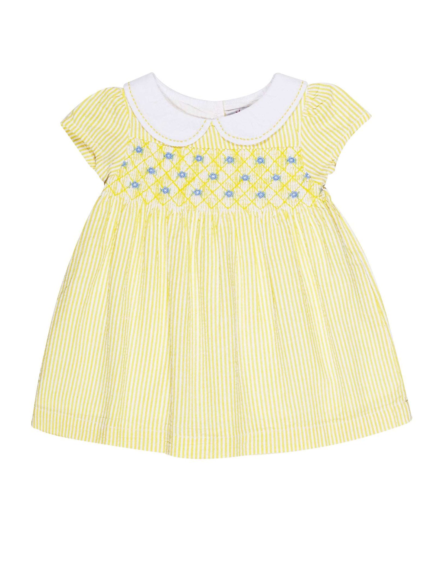 Young Birds Peterpan Collar Dress