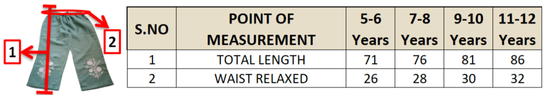 Young Birds Embroidered Palazzo Pant