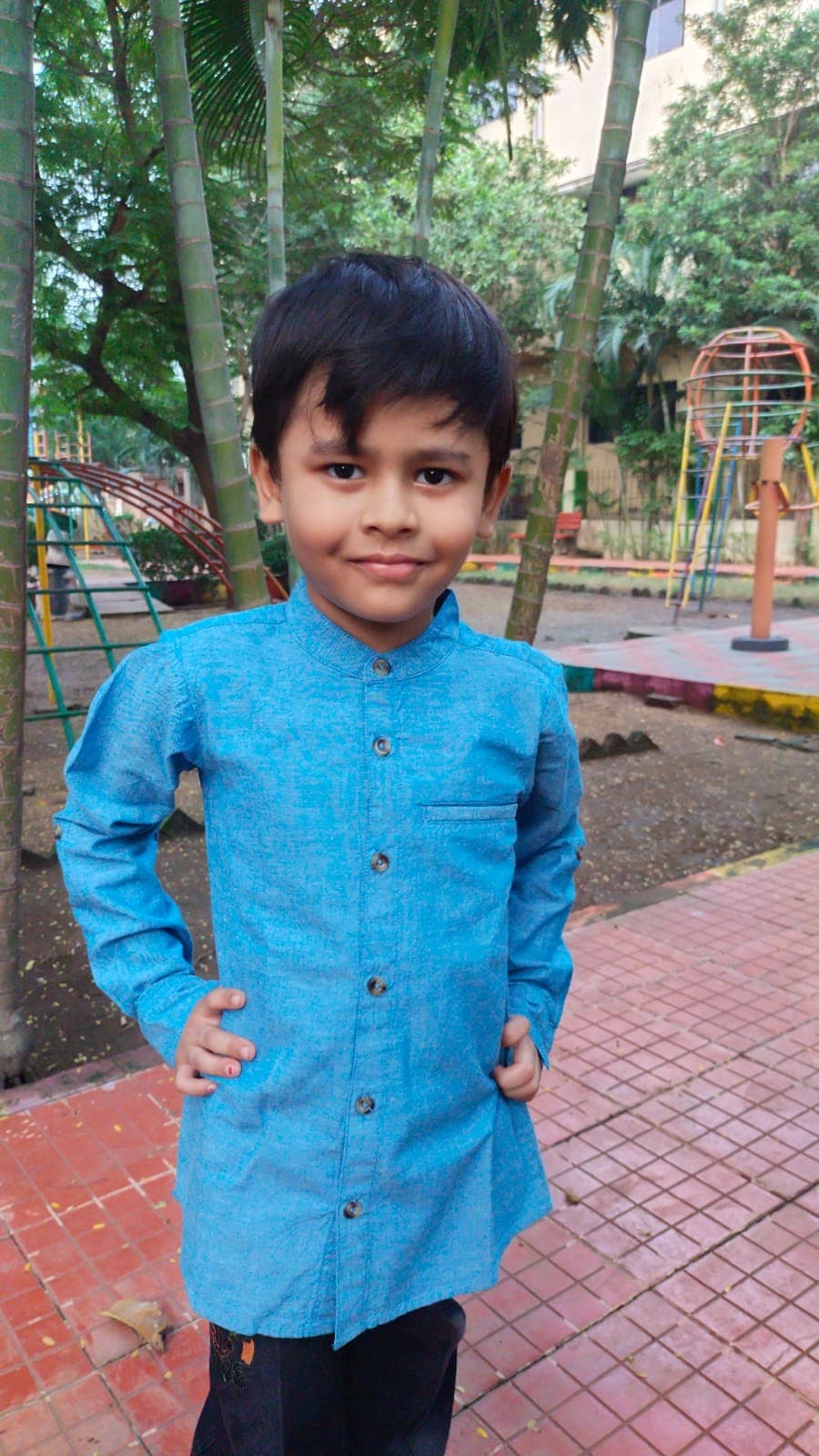 Young Birds Mandarin Collar Shirt