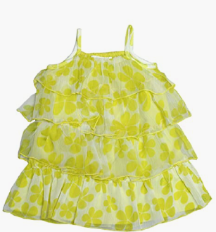 Young Birds Chiffon Layer Dress