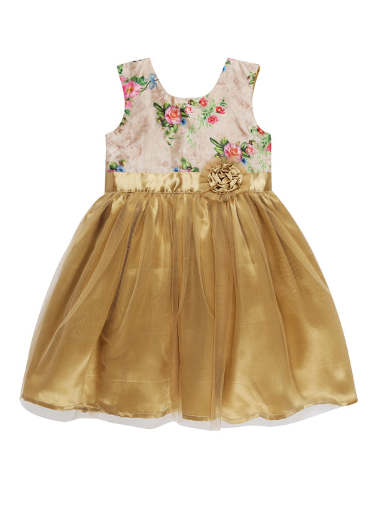 Young Birds Fancy Mesh Dress