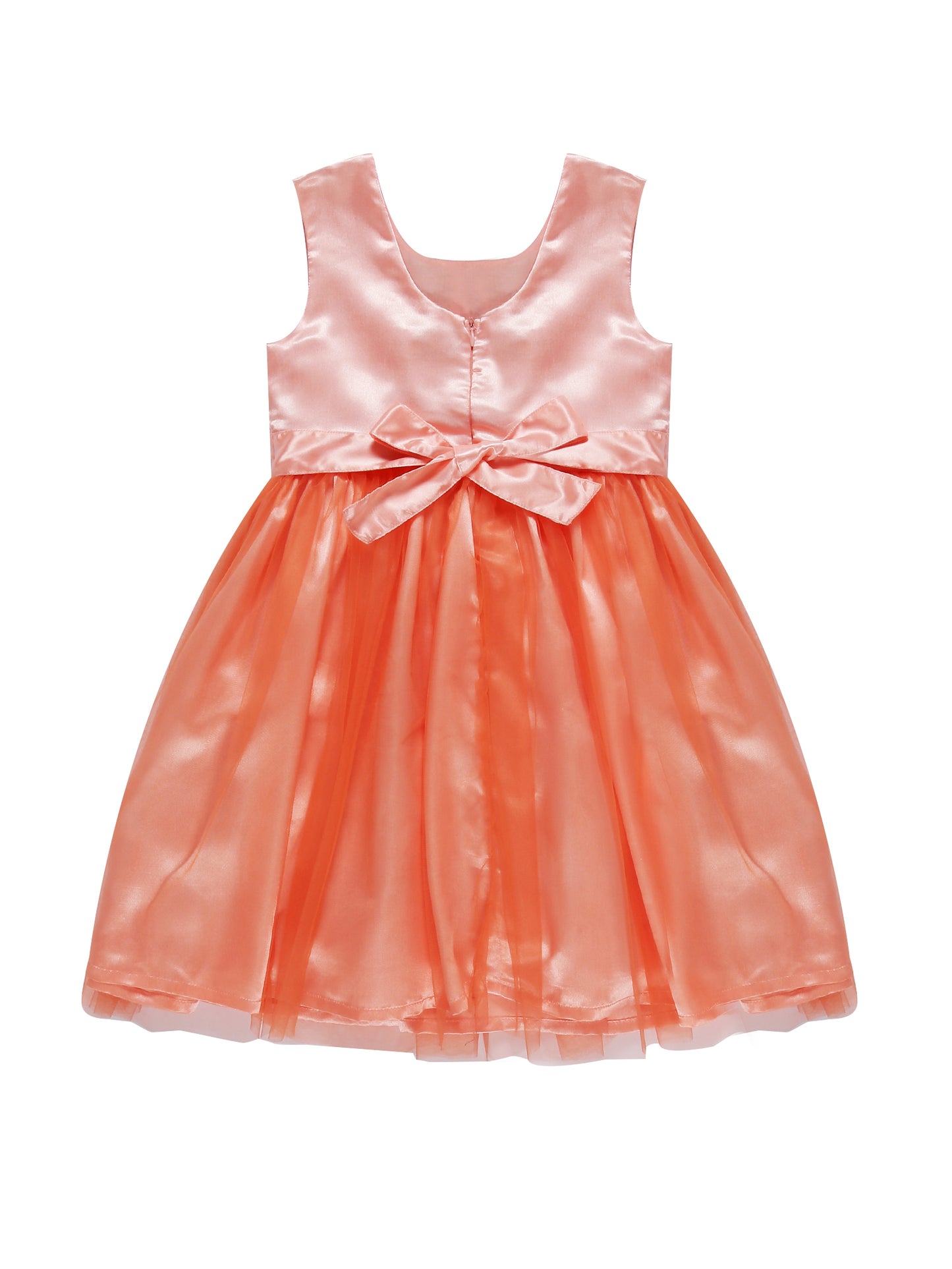 Young Birds Fancy Mesh Dress