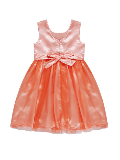 Young Birds Fancy Mesh Dress