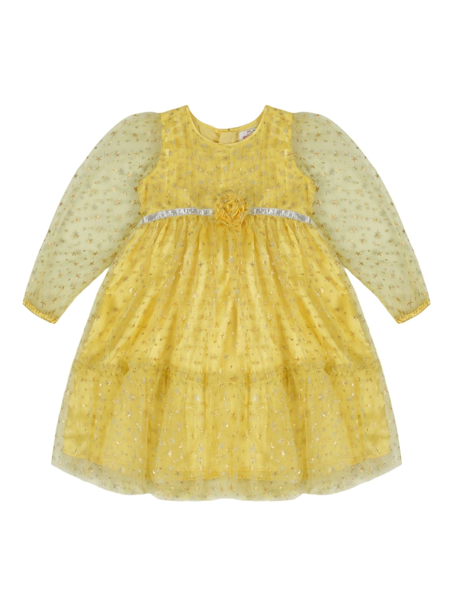 Young Birds Star Print Mesh Dress