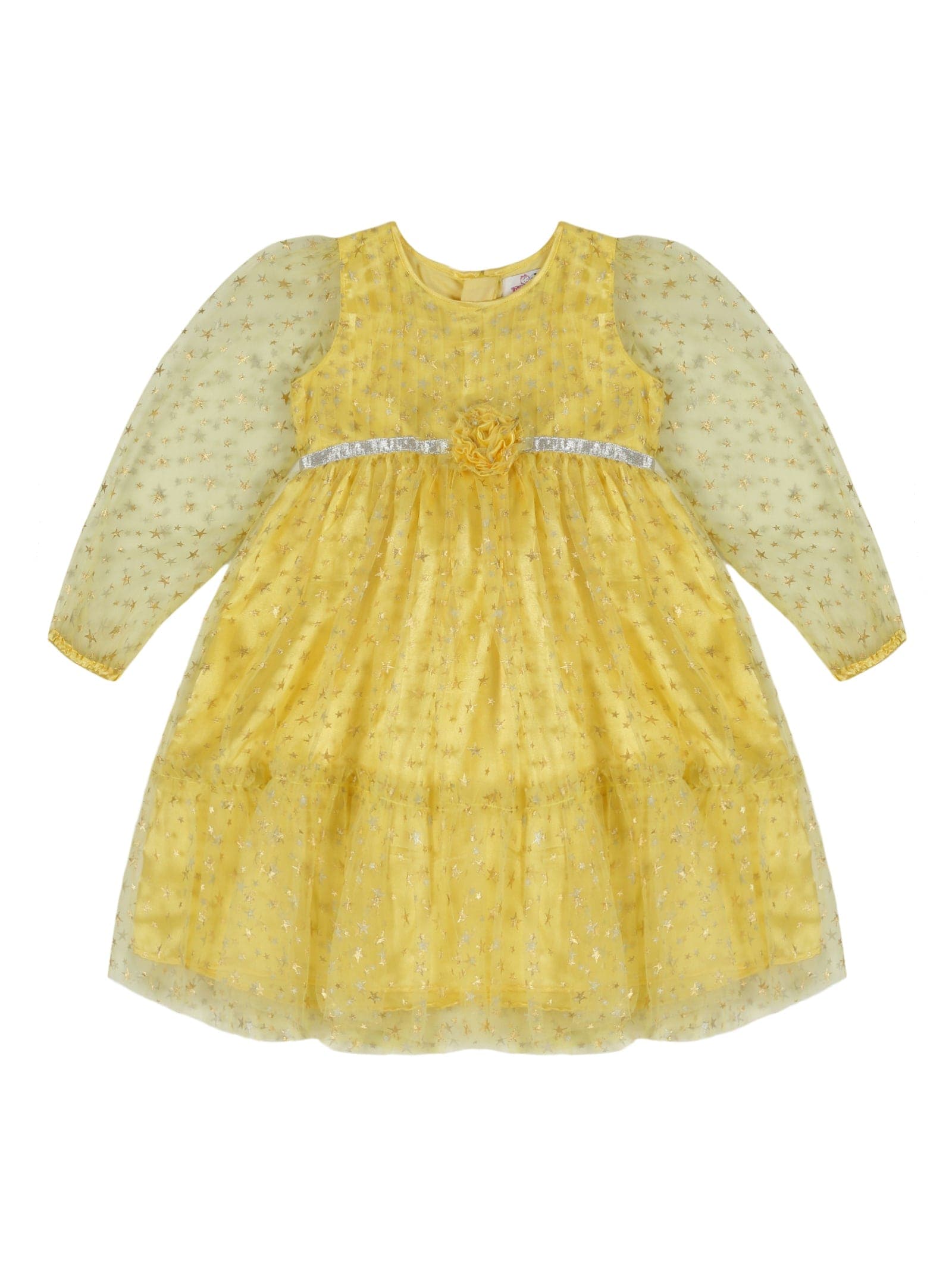 Young Birds Star Print Mesh Dress