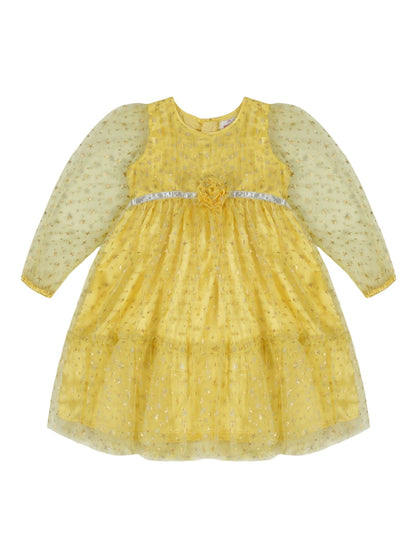 Young Birds Star Print Mesh Dress
