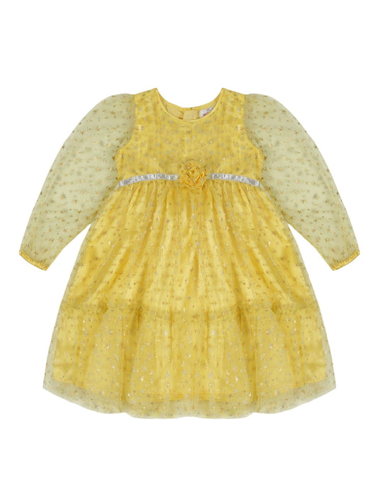 Young Birds Star Print Mesh Dress
