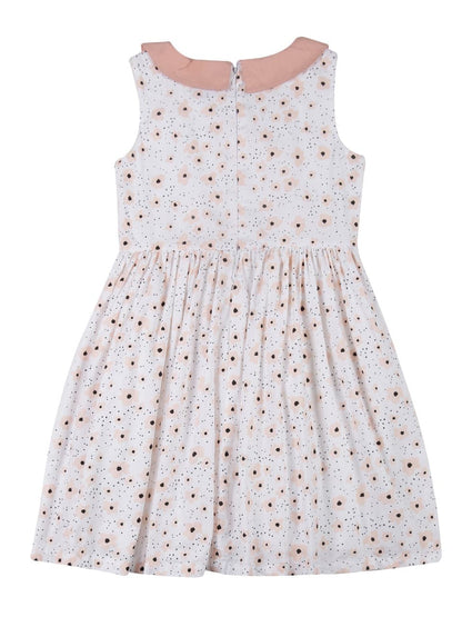 Young Birds Peter Pan Collar Fit & Flare Dress