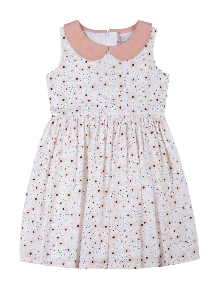 Young Birds Peter Pan Collar Fit & Flare Dress