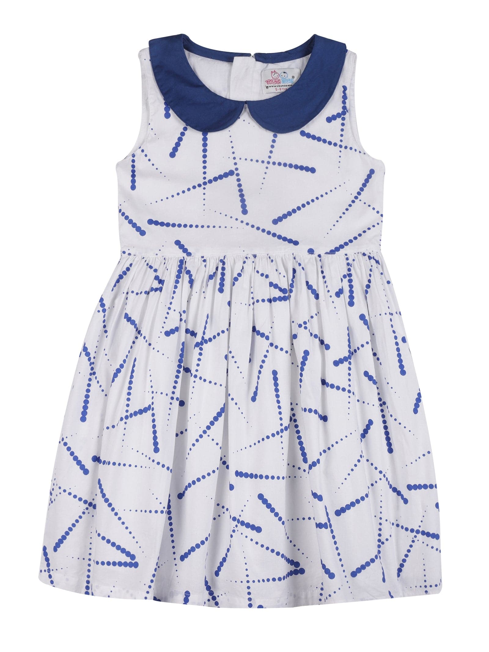 Young Birds Peter Pan Collar Fit & Flare Dress