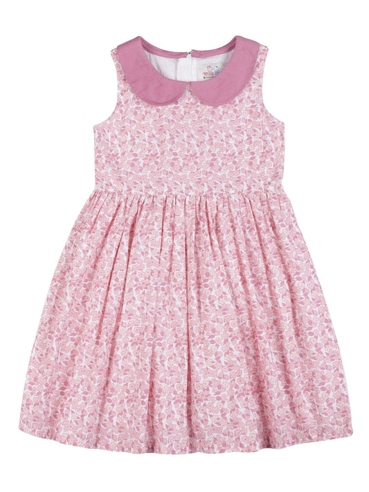 Young Birds Peter Pan Collar Fit & Flare Dress