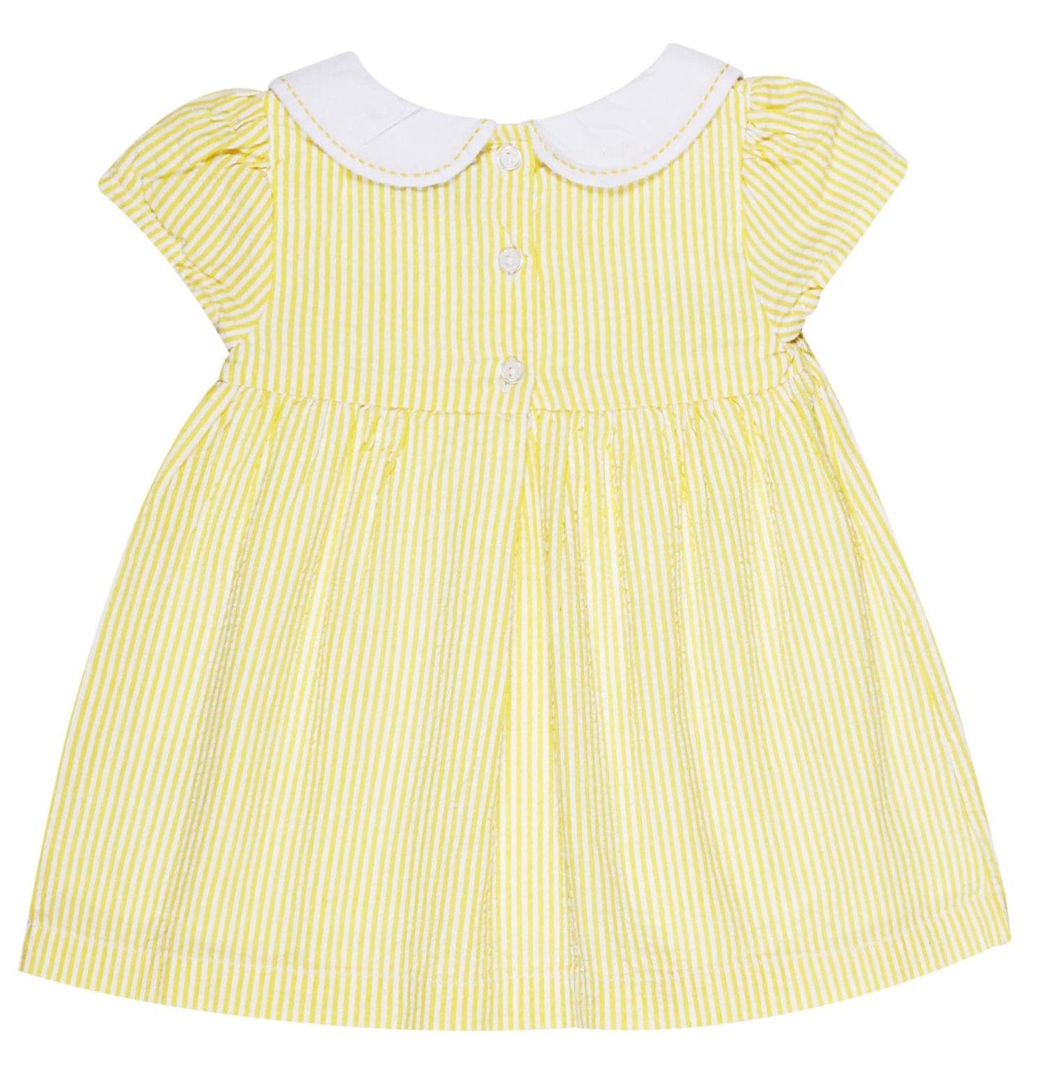 Young Birds Peterpan Collar Dress