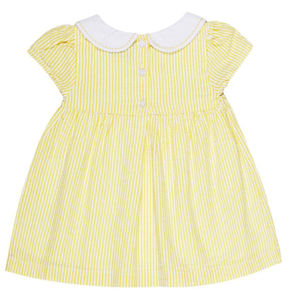 Young Birds Peterpan Collar Dress