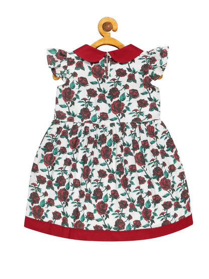 Young Birds Peterpan Collar Dress