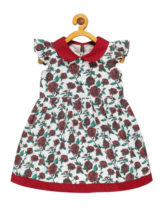 Young Birds Peterpan Collar Dress