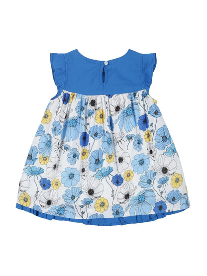 Young Birds Baby Fit & Flare Dress