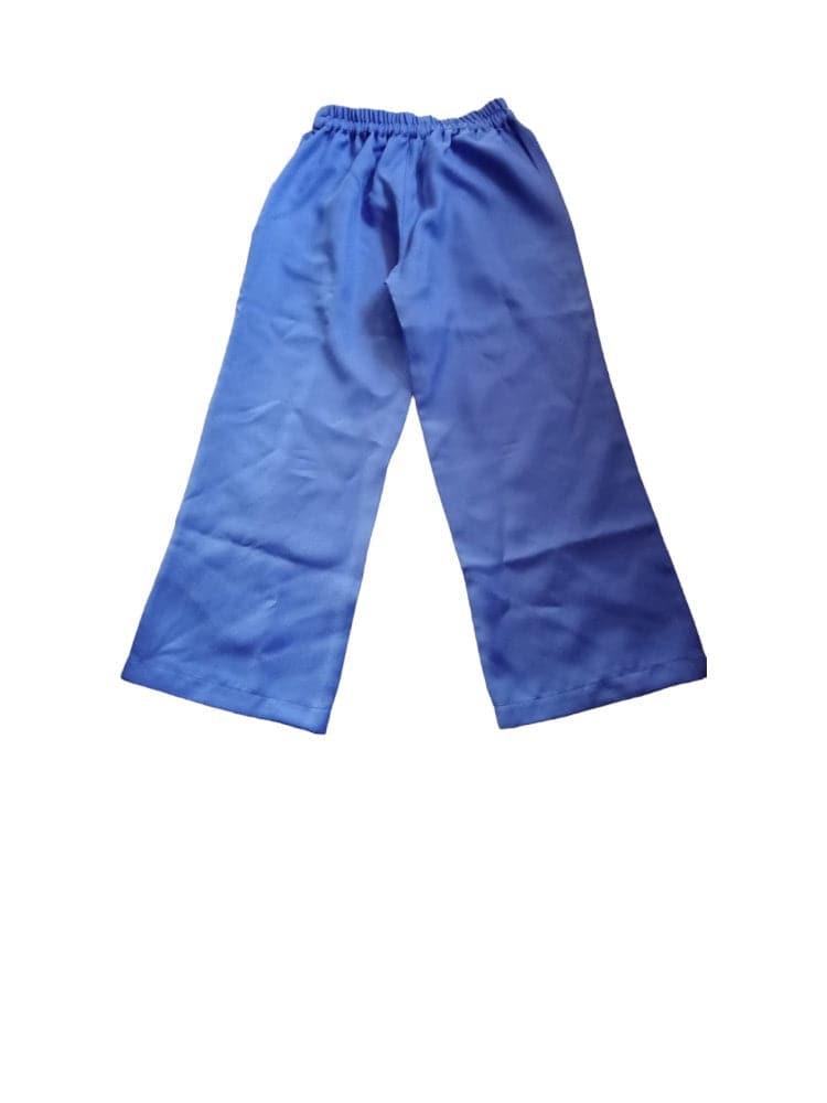 Young Birds Embroidered Palazzo Pant