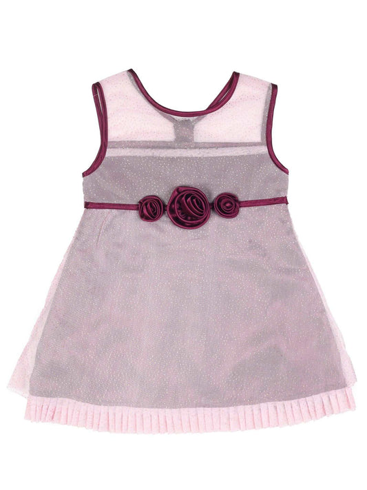 Young Birds Mesh Print Dress